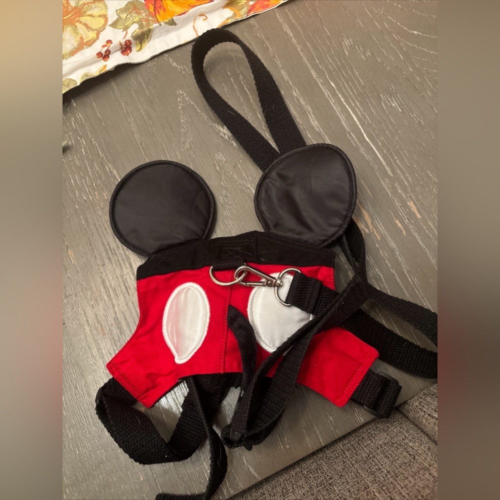 Mickey Mouse Child Harness
